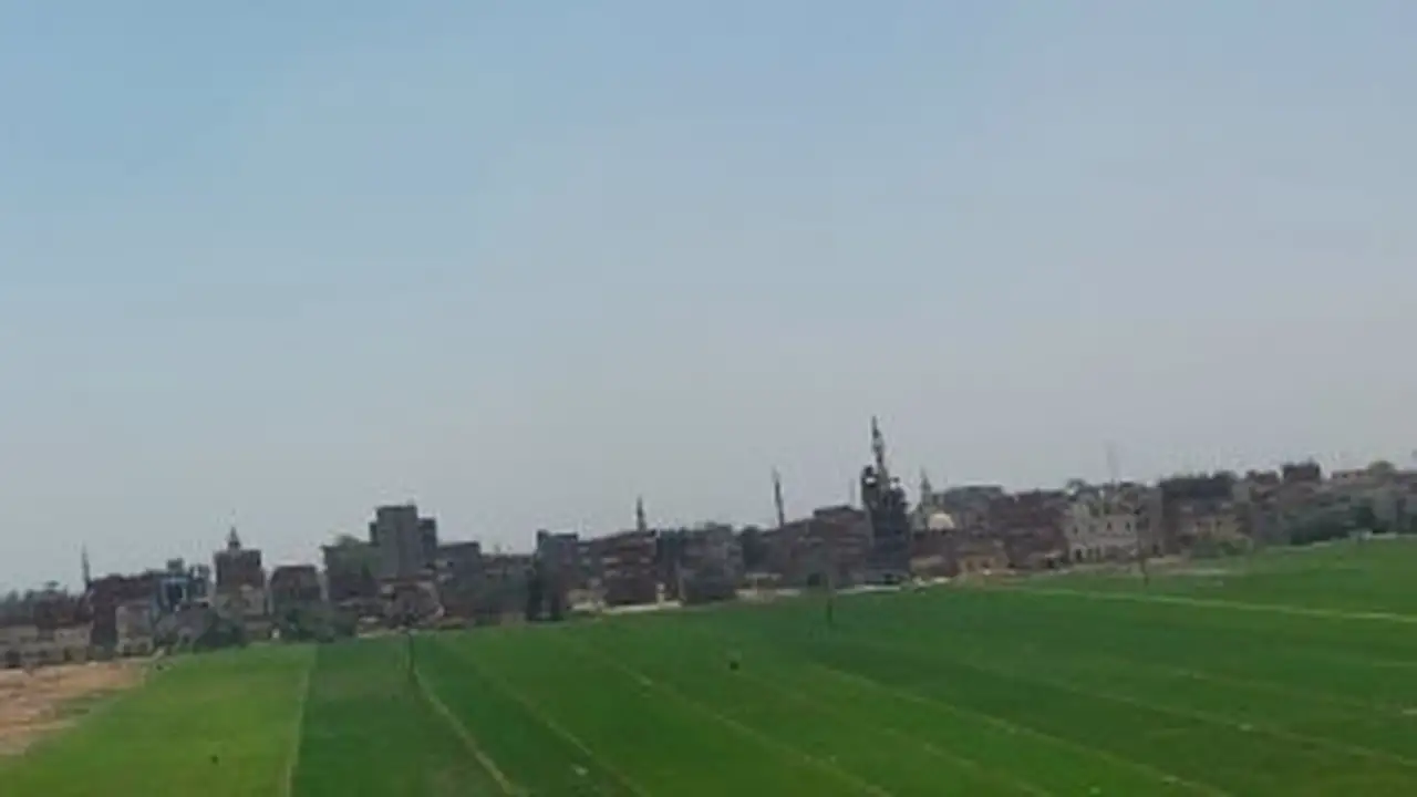 تحذير لمرضى الحساسية.. موجة أتربة ورياح تضرب المحافظات مع ارتفاع حرارة الطقس